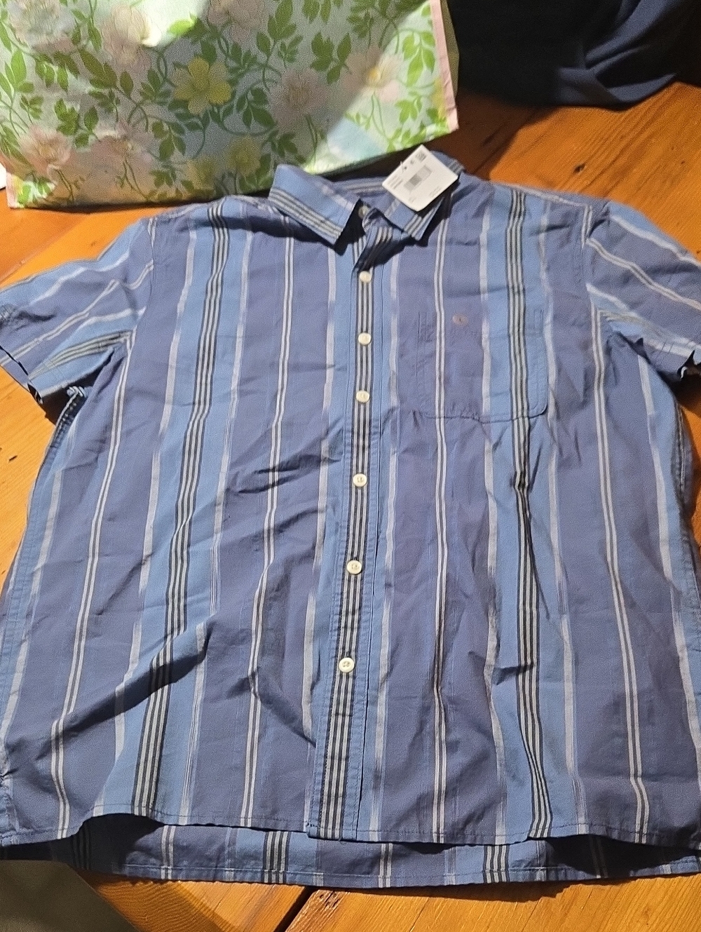 Nwt American Eagle Casual Blue Striped Short-Sleeve Men’s Shirt Sz L